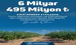 ÇKS’ye kayıtlı üreticilere 6 milyar 495 milyon TL daha destek aktarılacak