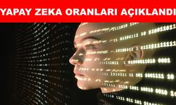 Yapay zeka kullanan bireylerin oranı yüzde 19,2 oldu