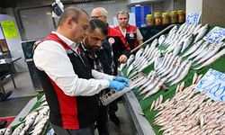 Kayseri’de balıkçılar denetlendi