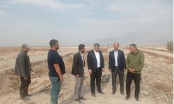 Üreticinin Dostu Büyükşehir'den Tarım ve Hayvancılığa Köprü Desteği