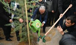 Büyükşehir'den Şehrin 'Yeşil'ine 155 Milyon TL'nin Üzerinde Yatırım