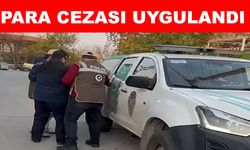 Kediye çarpıp kaçan şahıs yakalandı