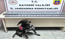 Jandarma ekiplerince yol kontrolünde 290 adet bandrolsüz kaçak sigara ele geçirildi