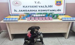 Jandarmanın durdurduğu tırda kaçak çay ve tütün ele geçirildi