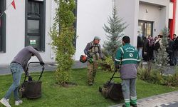 Mevlana'da Belediye Mahallemizde haraketliliği