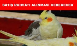 Petshoplarda papağan satışlarına ruhsat şartı
