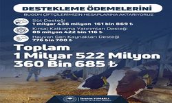 1 milyar 522 milyon liralık destek ödemesi bugün hesaplara yatırılacak