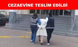 Hırsızlık suçundan 19 yıl hapisle aranan şahıs yakalandı