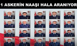 Gürcistan'da düşen uçaktaki 19 askerin naaşına ulaşıldı