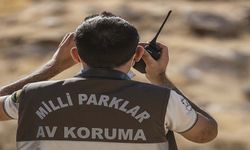 Yasa dışı avcılık yapan şahsa 953 bin lira ceza