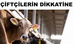 Damızlık amacıyla kullanılacak hayvanlara ilişkin usul ve esaslar düzenlendi