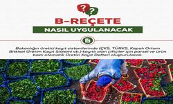 Tarım Bakanlığı: “Bitki koruma ürünleri satışları reçeteli yapılacak”