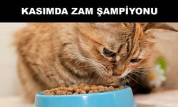 Evcil hayvan ürünleri oldu