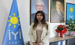 İYİ Partili Hakkomaz Şahin, "Türk milleti teröriste af değil ceza bekliyor”