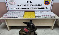 Jandarmanın durdurduğu tırda kaçak tütün ele geçirildi