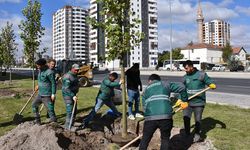 Kocasinan 11 yılda 1 milyon 67 bin ağaç dikerek geleceğe nefes şehre oksijen kaynağı oldu