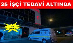 Fabrikada yemek yedikten sonra rahatsızlandılar