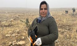 Büyükşehir, Ağaçlandırma Çalışmalarına 1200 Fidanla Yahyalı'da Devam Etti