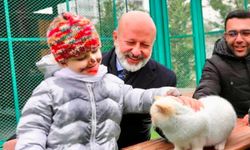 Küçük Dostlar Ambulansı ile 10 bin 280 can kurtarıldı