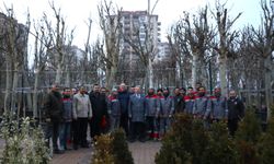 Başkan Palancıoğlu, “Fidan değil ağaç dikiyoruz”