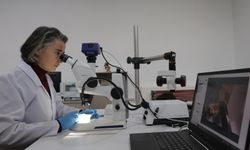 Kadim Kentin Tarihi ve Kültürel Zenginliğine Sahip Çıkan Büyükşehir, Konservayson Laboratuvarı Kurdu