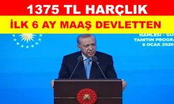 Cumhurbaşkanı Erdoğan'dan gençlere peş peşe müjdeler