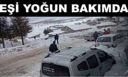 Kayseri'de sobadan sızan gazdan zehirlenen Leyla öldü