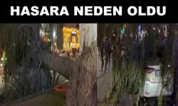 Kayseri’de şiddetli rüzgar ağacı otomobilin üzerine devirdi