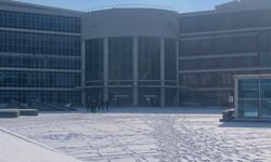 Uyuşturucu ticaretiyle yargılanan şahsa 12 yıl 6 ay hapis