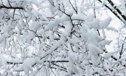 Kayseri’de hafta sonu: Çok bulutlu ve kar yağışlı