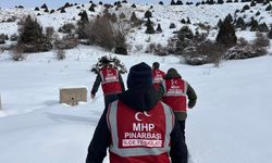 MHP Pınarbaşı teşkilatı, yaban hayvanları için doğaya yem bıraktı