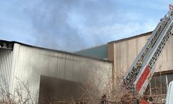 Mobilya fabrikasında yangın çıktı