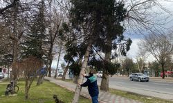 Kayseri Büyükşehir, Rüzgâra Karşı Teyakkuzda