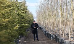 TÜRKİYE’NİN EN BÜYÜK ÜRETİM VE LOJİSTİK ÜSSÜ FİDANLIĞI  KOCASİNAN’DA