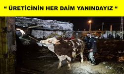 Sel riskine karşı hayvanlar tahliye edildi