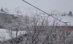 Felahiye ve Tomarza’da kar yağışı etkili oldu