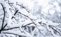 Kayseri’de hafta sonu