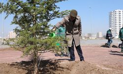 Kocasinan’da ağaç dikim sezonu başladı