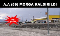 TIR sürücüsü araç altında ölmüş olarak bulundu