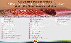 Kayseri Pastırması AB'den coğrafi tescil aldı