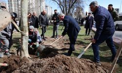 Melikgazi’de ağaçlandırma çalışmaları başladı
