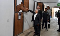 Büyükkılıç, Binicilikte Federe Statüye Kavuşan Tesisi Yerinde İnceledi