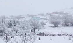 3 İlçede Kar Yağışı Etkili Oldu