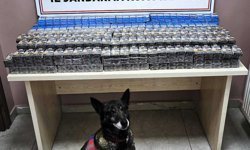 Kayseri'de 1008 Paket Bandrolsüz Sigara Ele Geçirildi