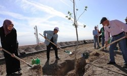 Kocasinan, Yeşil Hamle ile Geleceğe Nefes Oluyor