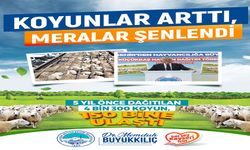 Kayseri'de küçükbaş hayvancılıkta 150 bine yakın artış sağlandı