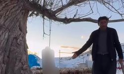 Pınarbaşı'da köpeği ağaca asarak öldüren şüpheli tutuklandı