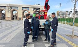 Yeşil alanlar ilaçlama ile yaza hazırlanıyor