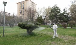 Melikgazi’de haşere ve sivrisinek için ilaçlama yapıldı