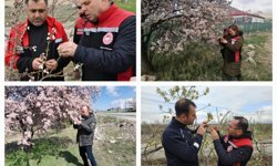 Zirai don Kayseri’yi etkilemedi